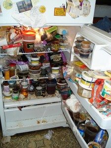 dirty-fridge1-225x300